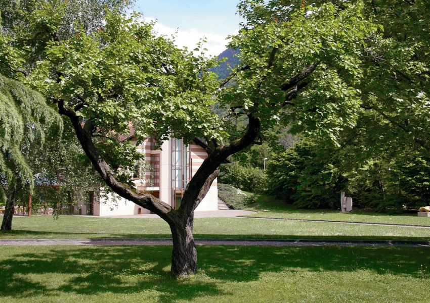 fondation-leonard-logo-mecenat-blanc-fondation-pierre-gianadda-leonard-concerts-expositions-festivals-visites-musees-peintures-sculptures-billetterie-martigny-valais-suisse